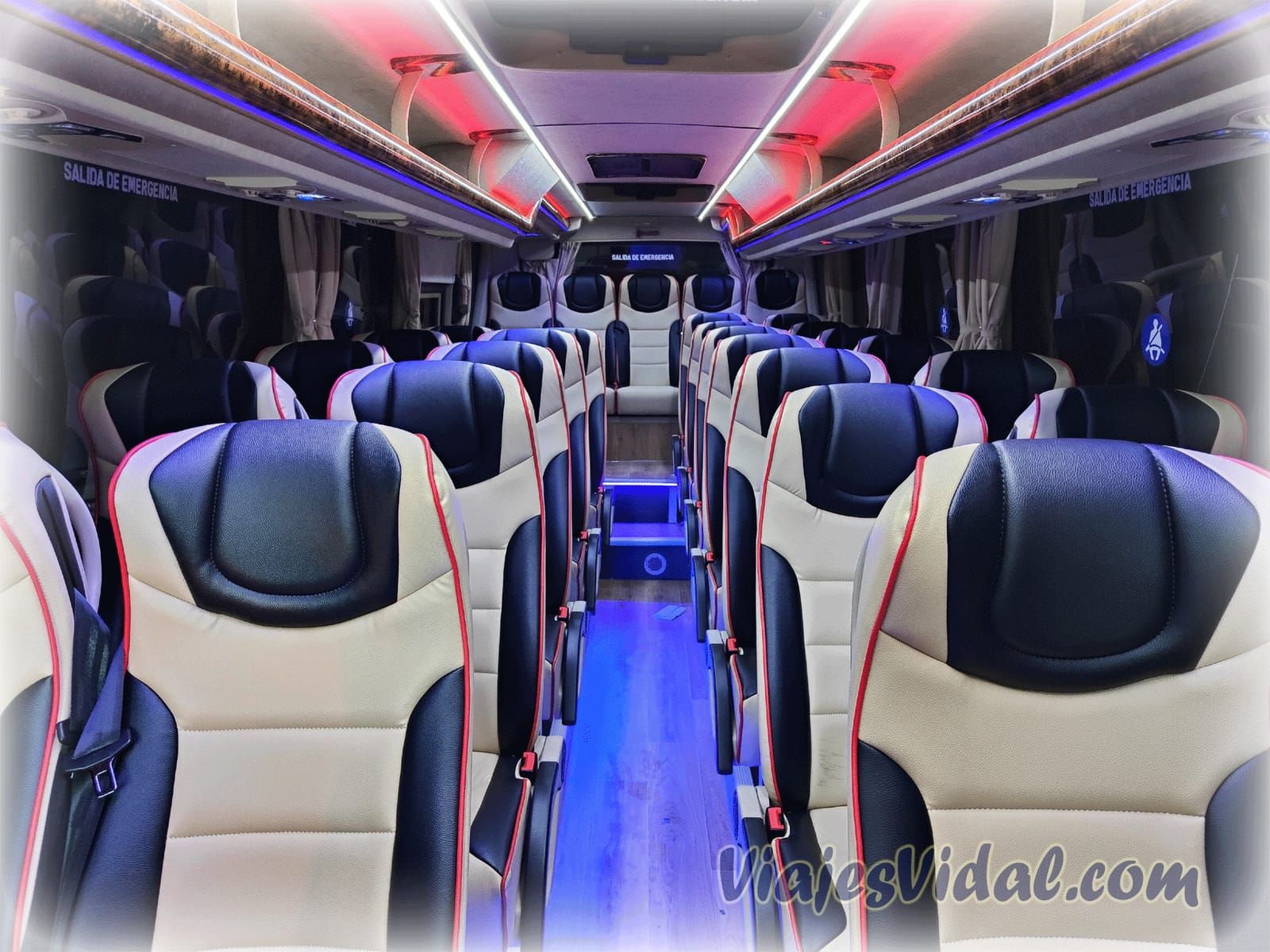 Interior con iluminación ambiental del midibús